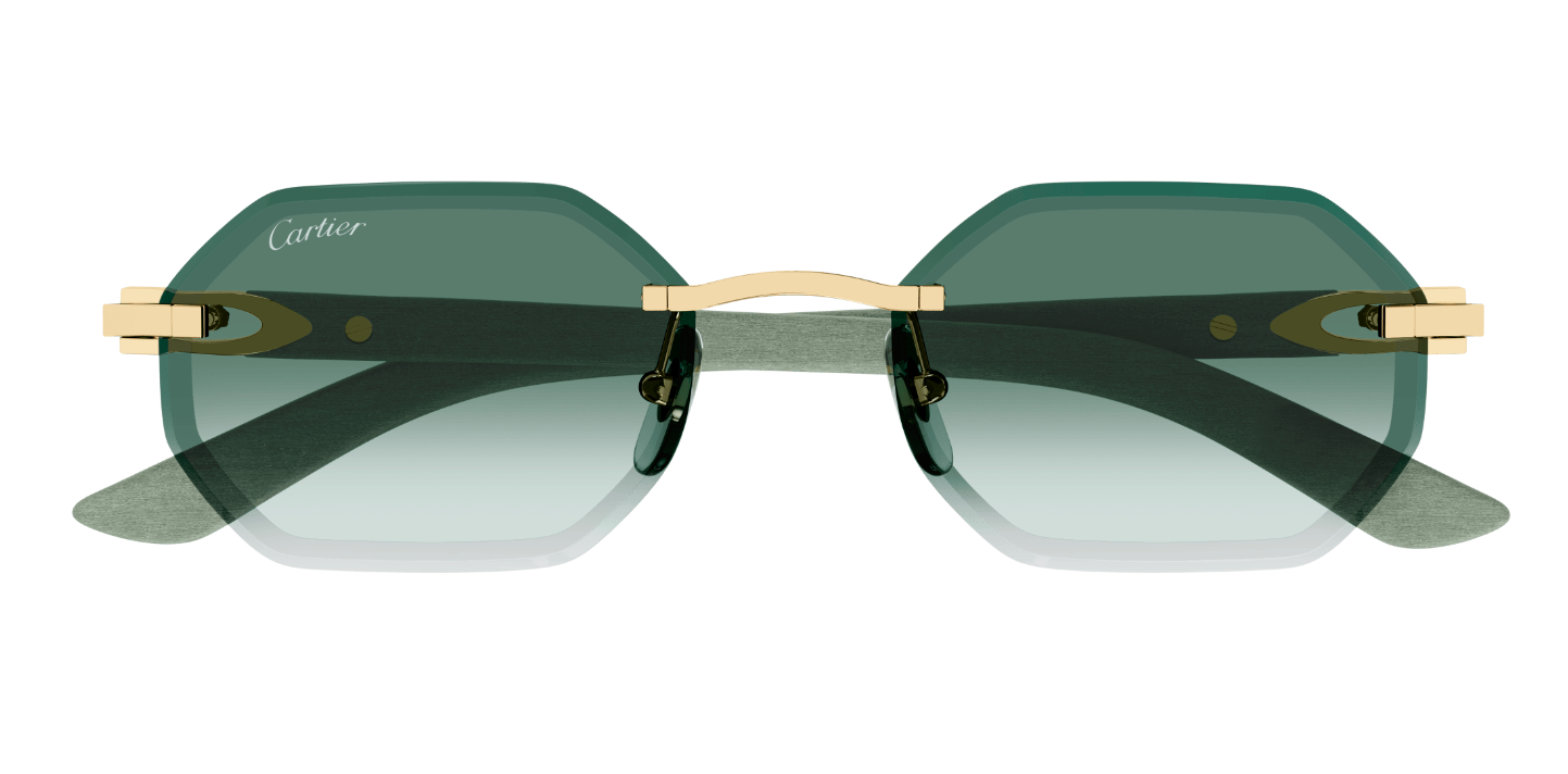 Cartier CT0439S Color 004