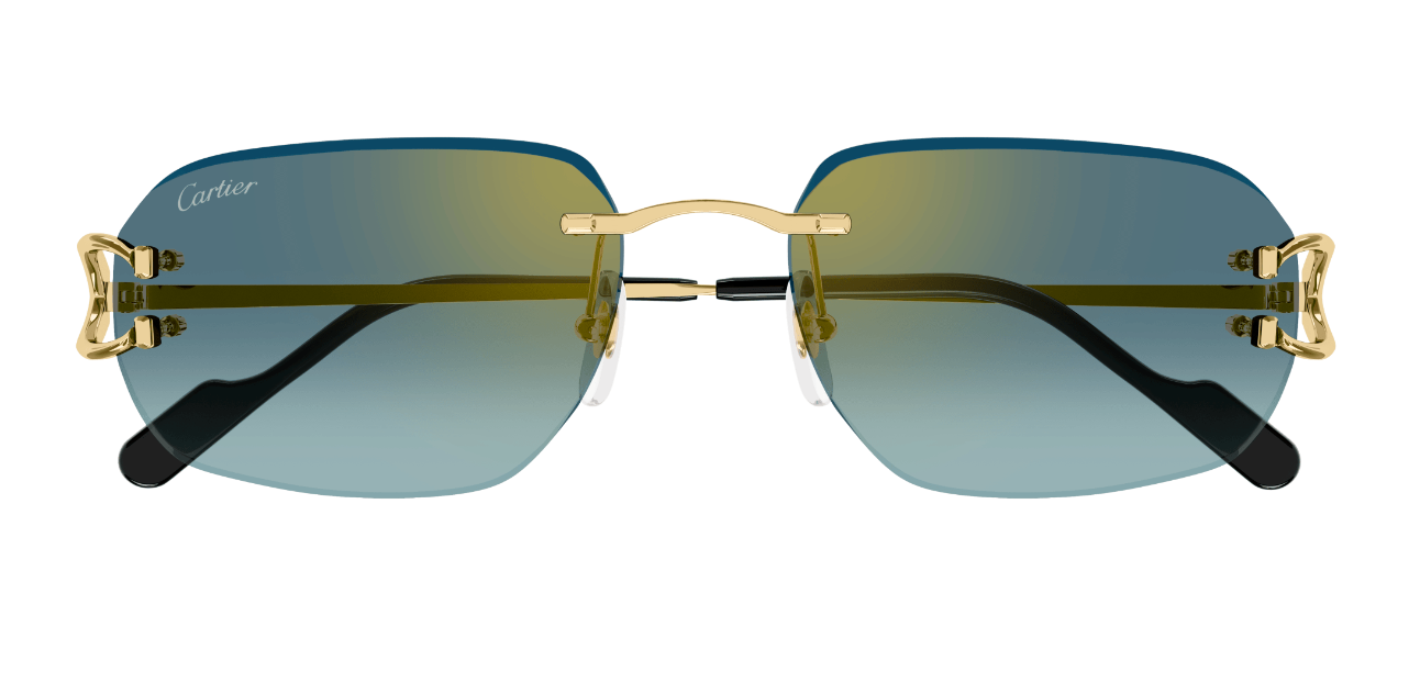 Cartier CT0468S Color 003