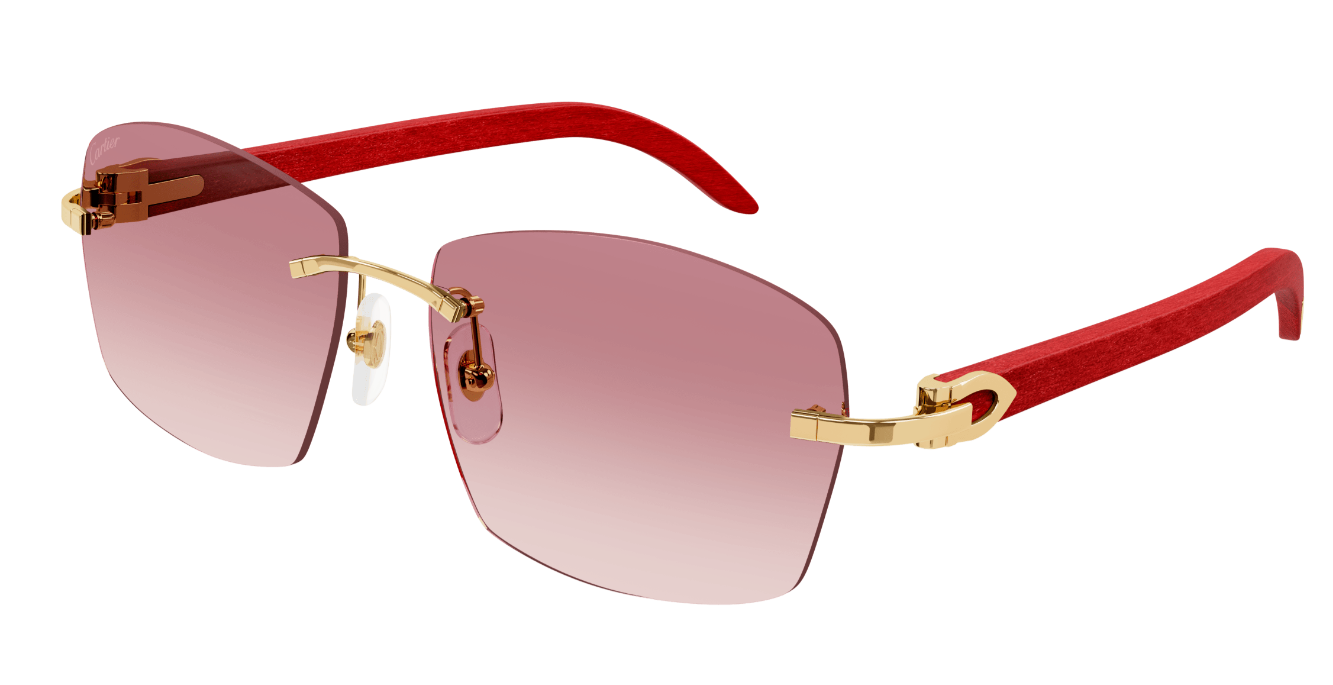 CT0039RS Color 001