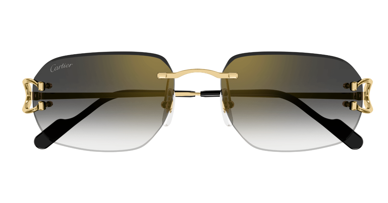 Cartier CT0468S Color 001