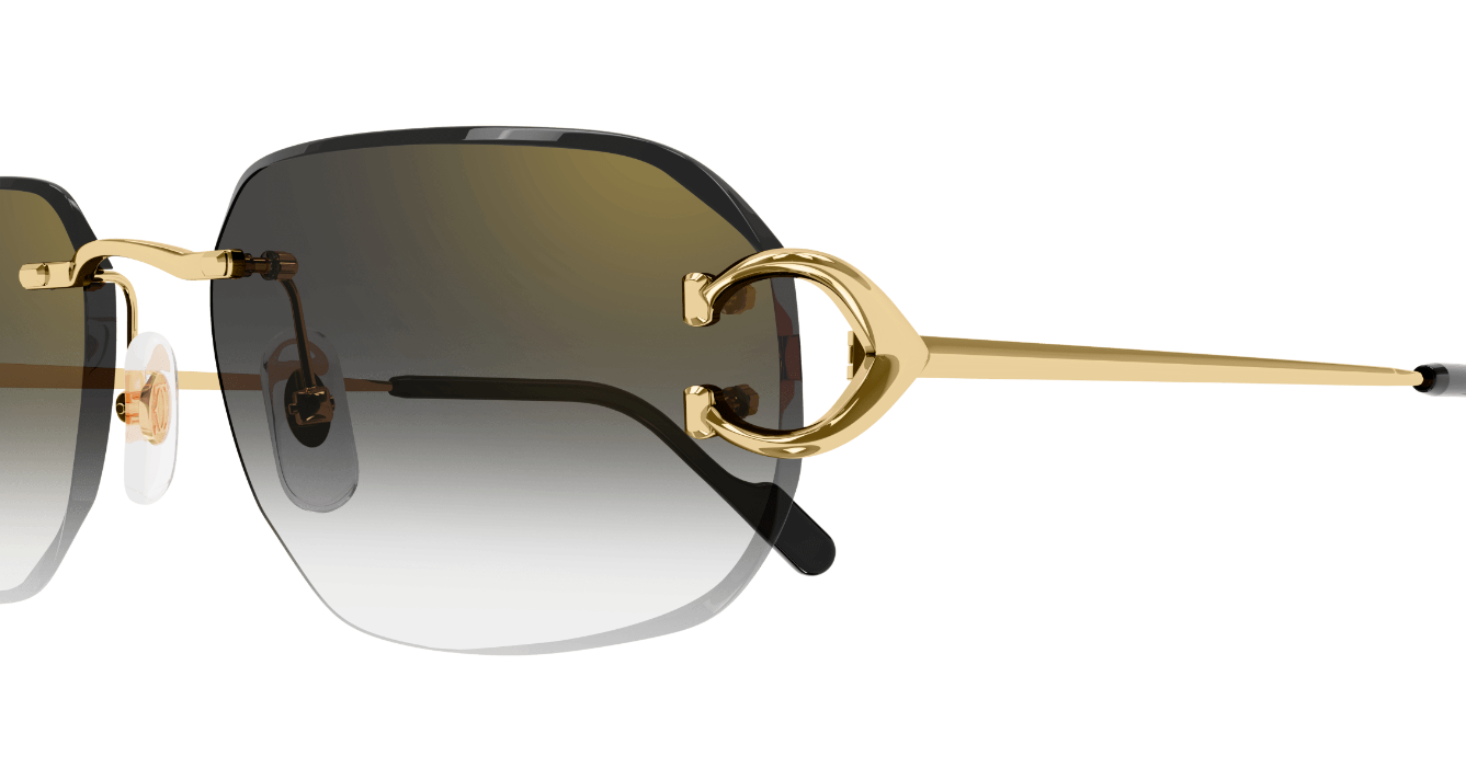 Cartier CT0468S Color 001