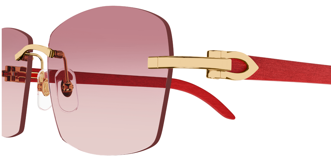 CT0039RS Color 001