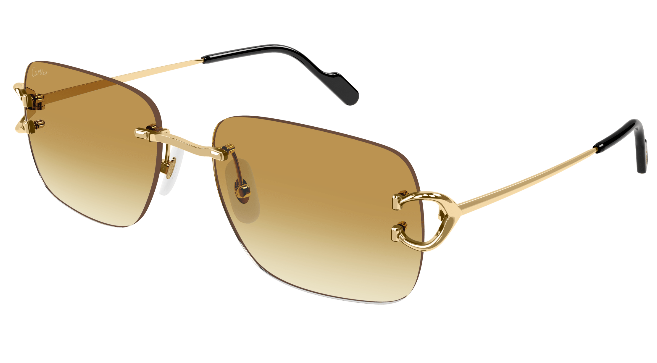 Cartier CT0330S Color 003