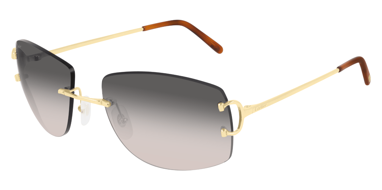 Cartier CT0008RS Color 001